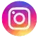 insta icon